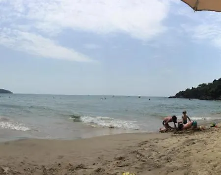 Renata Formia